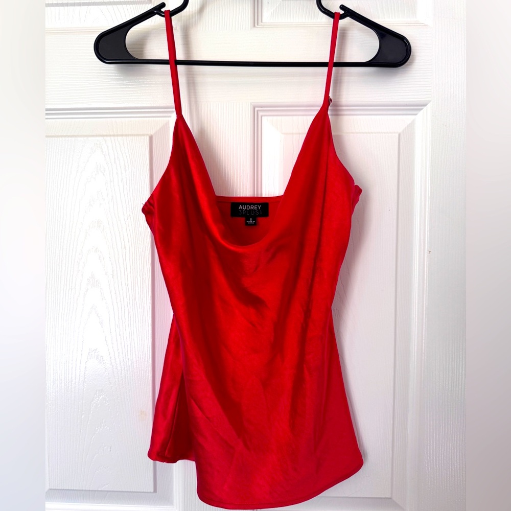 Audrey Vibrant Red Satin Camisole